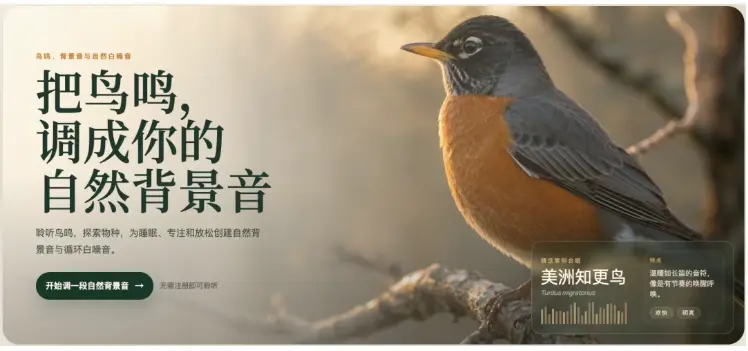 在办公室听鸟叫，这玩意比什么白噪音 App 都管用